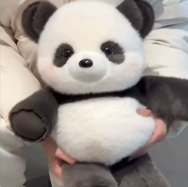 Panda qui court