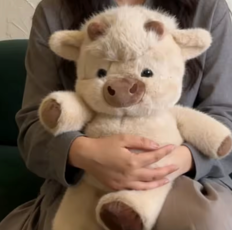 Highland Cow qui court