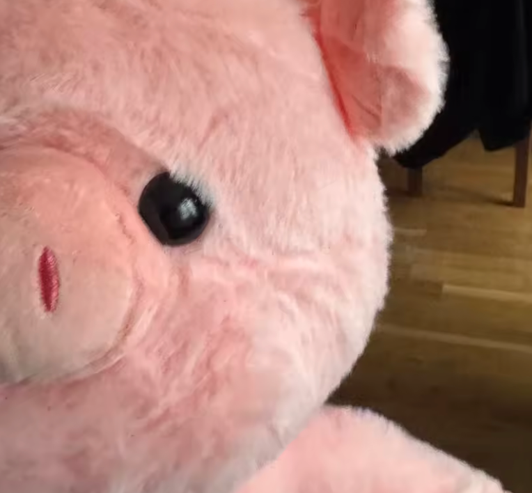 Cochon qui court